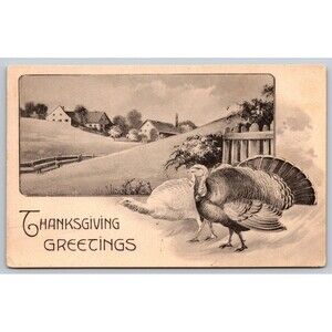 Postcard Thanksgiving Greetings Turkeys Hen Tom B&W Unposted Germany c1910s